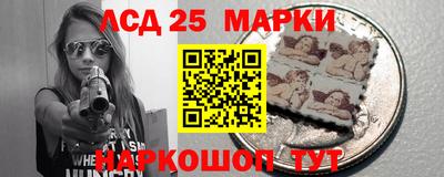 spice Новодвинск
