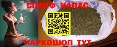 spice Новодвинск