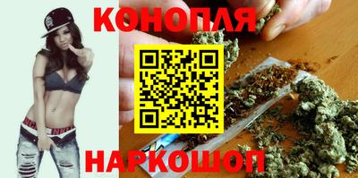 spice Новодвинск