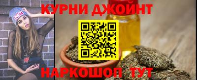 spice Новодвинск