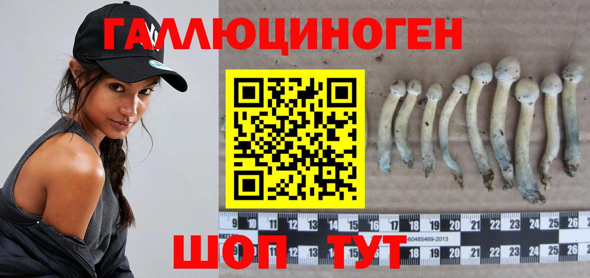 Псилоцибиновые грибы Cubensis Сатка